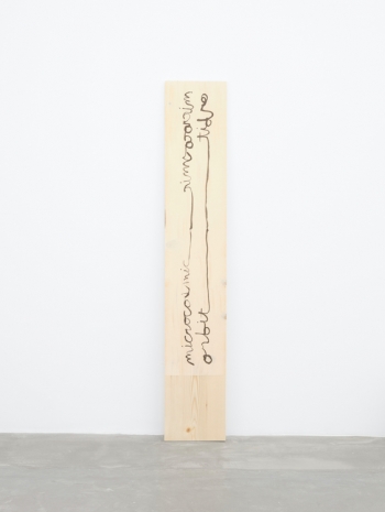 Hendl Helen Mirra, microcosmic orbit, 2025 , Galerie Nordenhake