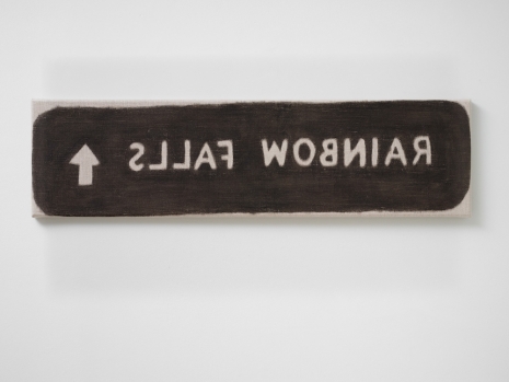 Hendl Helen Mirra, not rainbow falls, 2021, Galerie Nordenhake