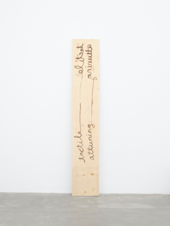 Hendl Helen Mirra, tactile attuning, 2025 , Galerie Nordenhake