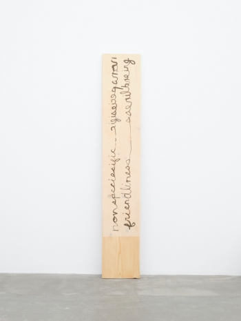 Hendl Helen Mirra, nonspeciesific friendliness, 2025, Galerie Nordenhake