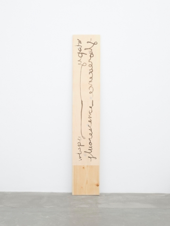 Hendl Helen Mirra, wispy fluorescence, 2025 , Galerie Nordenhake