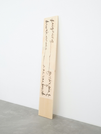 Hendl Helen Mirra, feigning drunkenness, 2025 , Galerie Nordenhake