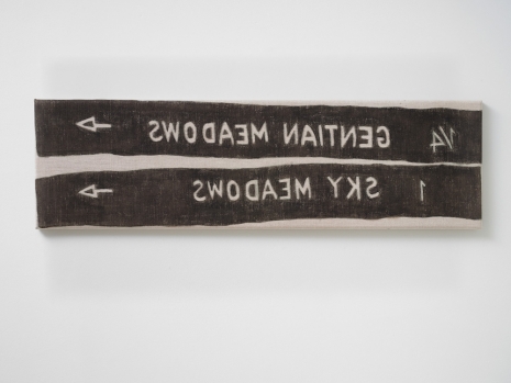 Hendl Helen Mirra, not gentian meadows, 2021, Galerie Nordenhake