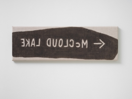 Hendl Helen Mirra, not mccloud lake, 2021, Galerie Nordenhake