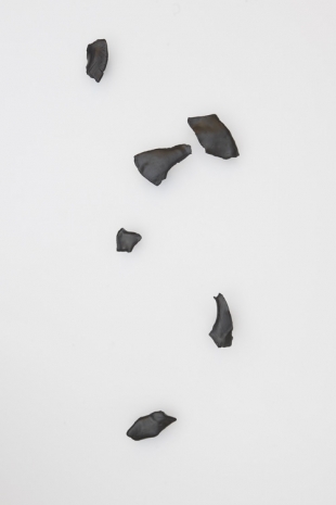 Liz Larner, Congeners, 2025 , Anton Kern Gallery