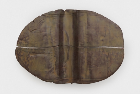 Liz Larner, Uncommon return of light, 2025, Anton Kern Gallery