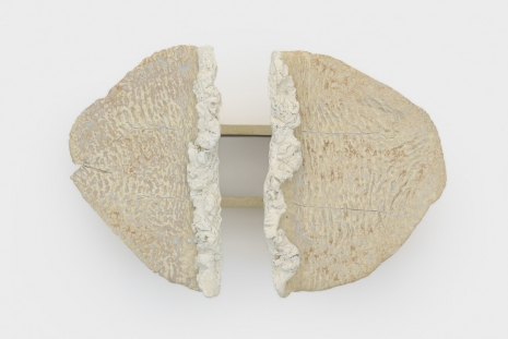 Liz Larner, Divergent boundary, 2025, Anton Kern Gallery