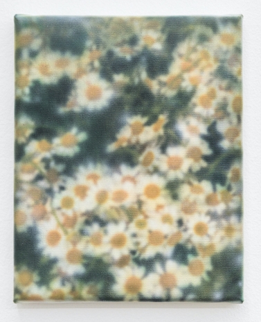 Leon Xu, Only human, 2025 , Mai 36 Galerie