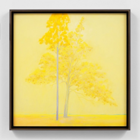 Nicolas Party, Trees, 2025 , Hauser & Wirth