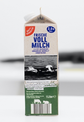 Henrik Olesen, Art with information, 2025 , Galerie Buchholz