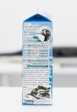 Henrik Olesen, Art with information, 2025 , Galerie Buchholz