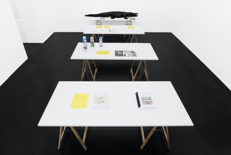 Henrik Olesen, Art with information, 2025 , Galerie Buchholz