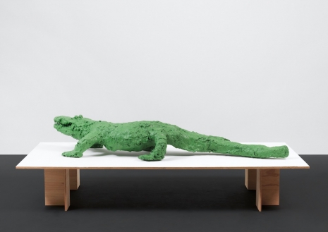 Henrik Olesen, American alligator, circa 83.5 million years ago, 2025, Galerie Buchholz