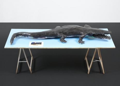 Henrik Olesen, Inspired by the crocodile mummies, circa 2.500 years ago (found at a tomb at Qubbat al-Hawa, Egypt, in 2019), 2024 , Galerie Buchholz