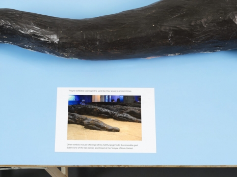 Henrik Olesen, Inspired by the crocodile mummies, circa 2.500 years ago (found at a tomb at Qubbat al-Hawa, Egypt, in 2019), 2024 , Galerie Buchholz