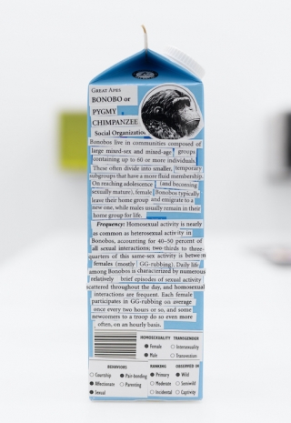 Henrik Olesen, Art with information, 2025 , Galerie Buchholz