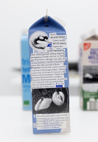 Henrik Olesen, Art with information, 2025 , Galerie Buchholz