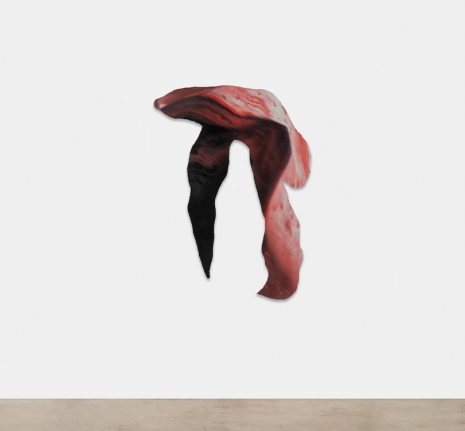 Harminder Judge, Untitled (torso and tulip), 2025 , Sean Kelly