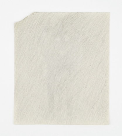 Lai Yu Tong, The Dogs (Bean), 2025 , ShanghART