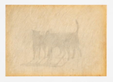 Lai Yu Tong, The Dogs (Group), 2025 , ShanghART