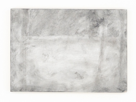 Lai Yu Tong, The Dogs (Road), 2025 , ShanghART