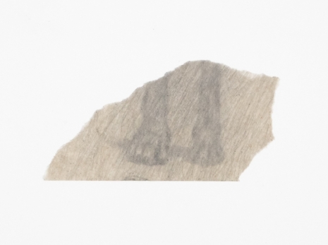 Lai Yu Tong, The Dogs (Feet), 2025 , ShanghART