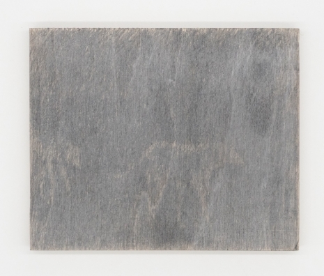 Lai Yu Tong, The Dogs (Mexico), 2025 , ShanghART