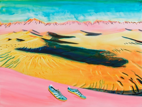 John Kørner, A Pair of Adidas Left Alone, 2025 , Galleri Bo Bjerggaard