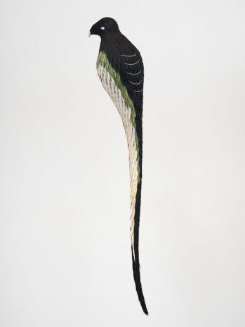 Roberto Benavidez, Bosch Bird No. 12, 2025 , Perrotin