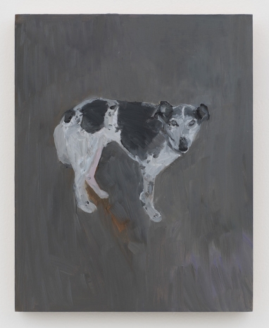 Hans-Peter Thomas, untitled (ESP - Emotional Support Paintings), 2023, Galerie Bernd Kugler