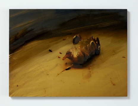 Philippe Parreno, Untitled, 2025, Andersen’s