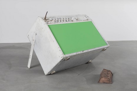 Joris Van de Moortel, Everything’s gone green, 2013, Galerie Nathalie Obadia
