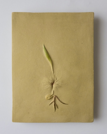 Clara Spilliaert, Mais Anus (series 1), 2025 , Keteleer Gallery