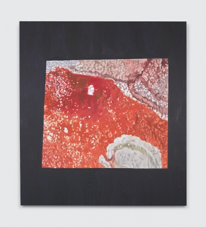 Luc Tuymans, Illumination II, 2025, David Zwirner