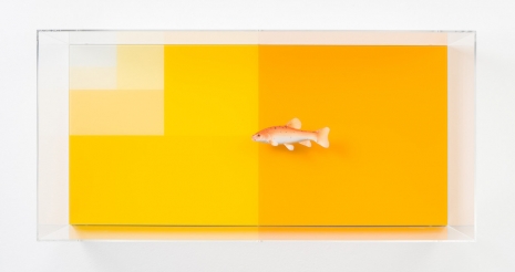 Carsten Höller, Divisions (Golden Tench 2 and Surface), 2023 , Gagosian
