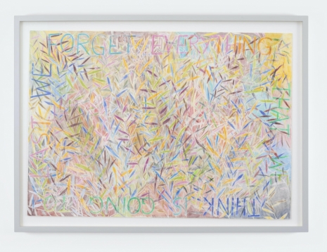 Isabel Nolan, we forget everything, 2020 , Kerlin Gallery