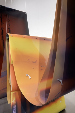 Lotus L. Kang, Molt (Woodridge-New York-Berlin-), 2024 - 2025, Esther Schipper