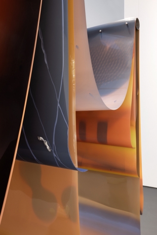 Lotus L. Kang, Molt (Woodridge-New York-Berlin-), 2024 - 2025, Esther Schipper