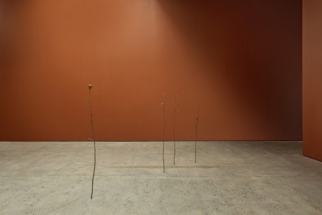 Jesse Wine, Futures, 2025 , The Modern Institute