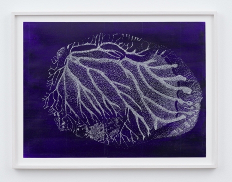 Adam Colton, Panta Rhei No 1, 2020 , Slewe Gallery