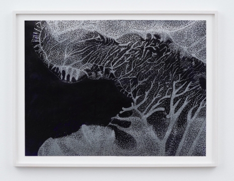 Adam Colton, Panta Rhei No 4, 2020 , Slewe Gallery