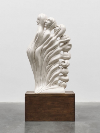 Enrico David, Assumption of we, 2014-25 , White Cube