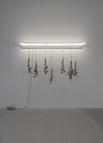 Chloé Delarue, TAFAA - OBSCENE TEARS (Shout out no more extase), 2025, galerie frank elbaz