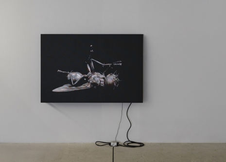 Chloé Delarue, TAFAA - TINA UNFOLLOW ALICE (Again And Again), 2025 , galerie frank elbaz