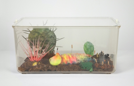 Tetsumi Kudo , Untitled, 1962-63 , Sprüth Magers