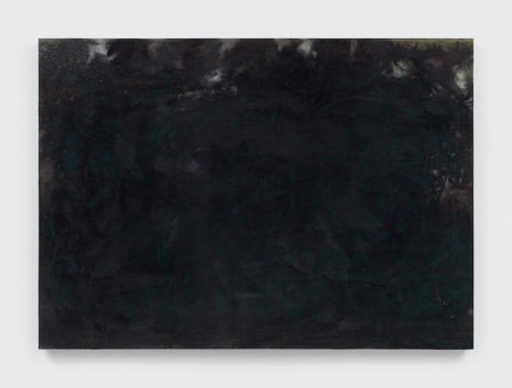 Sydney Cain, Rhododendron (The Seven Days), 2025 , Casey Kaplan