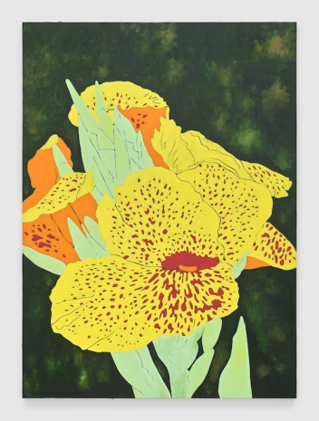 Cassi Namoda, Photosynthesis at rest, 2025 , 303 Gallery