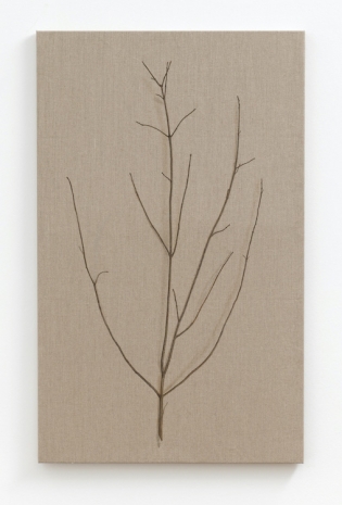Helene Appel  , Branch, 2025 , Galleri Bo Bjerggaard