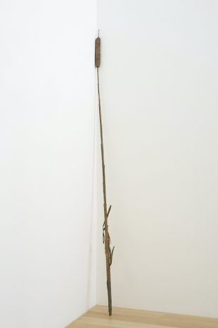 Tue Greenfort , Dunhammer, 2023 , Galleri Bo Bjerggaard