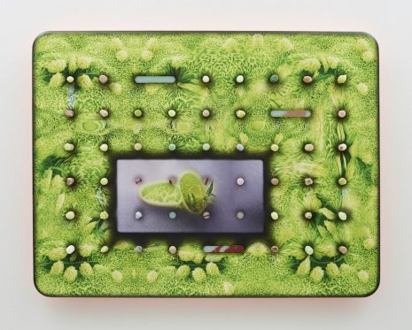 Tishan Hsu, stomata-skin, 2025 , Lisson Gallery